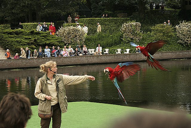 2005 Avifauna (23)